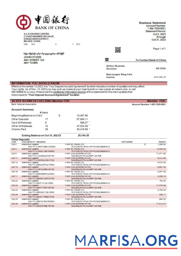 Blank Bank of China enterprise statement Word and PDF template